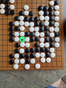 Mega-Seki